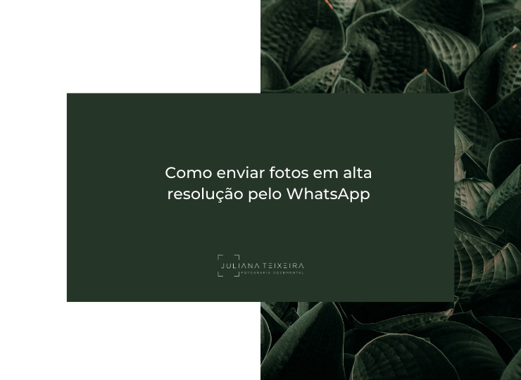 Como enviar fotos em alta resolução pelo WhatsApp Como enviar fotos em alta resolução pelo WhatsApp